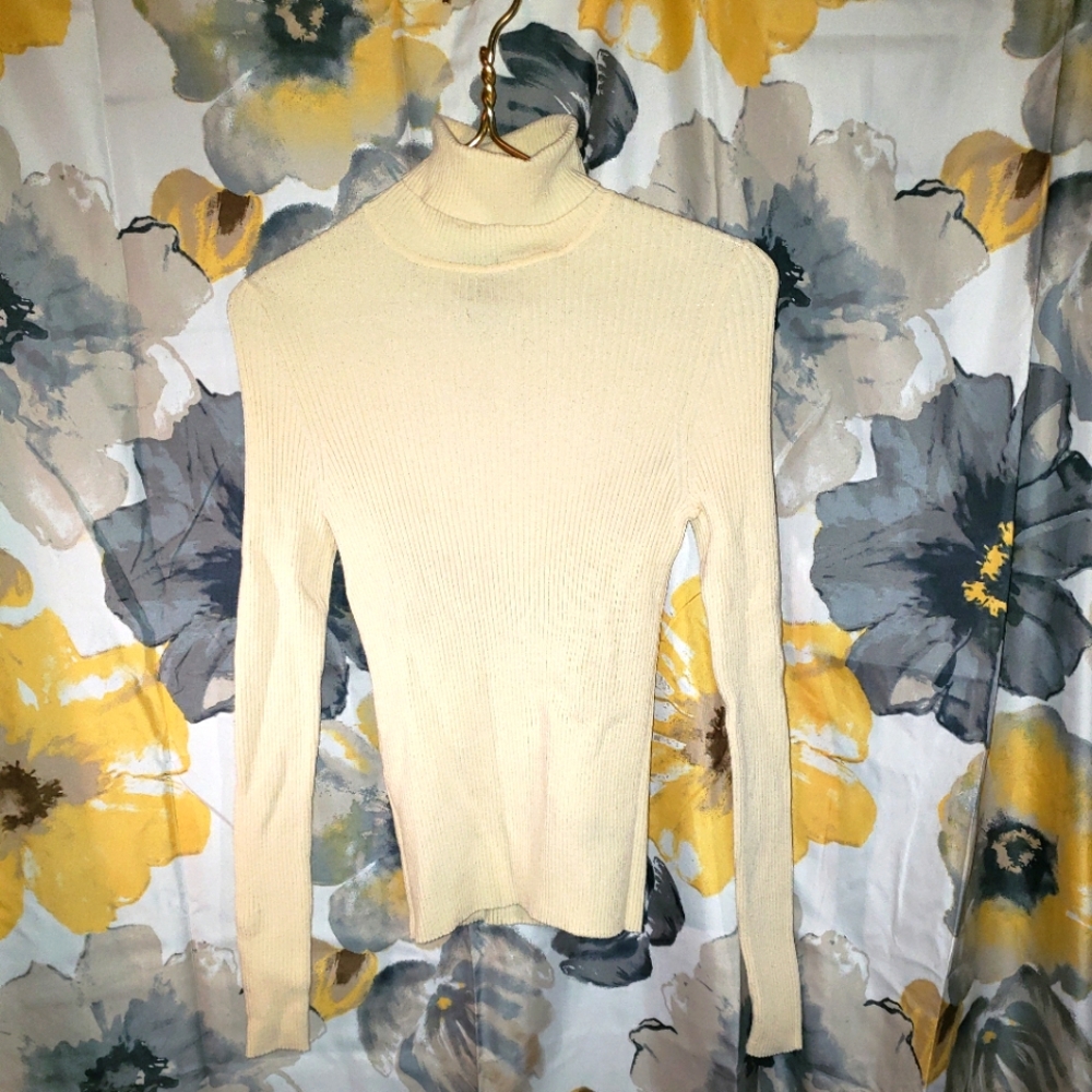 Express Turtleneck
